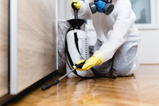Best Local Pest Control Services  in West Monroe, MI