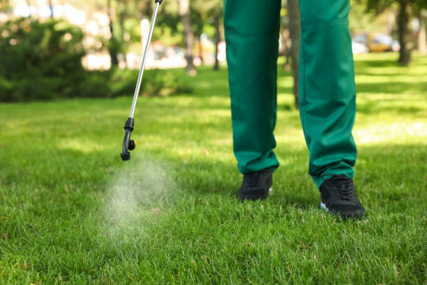 Best Cockroach Control Services  in West Monroe, MI