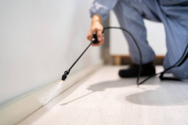 Best Flea Control Services  in West Monroe, MI