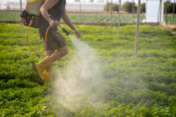 Best Pest Control for Businesses  in West Monroe, MI