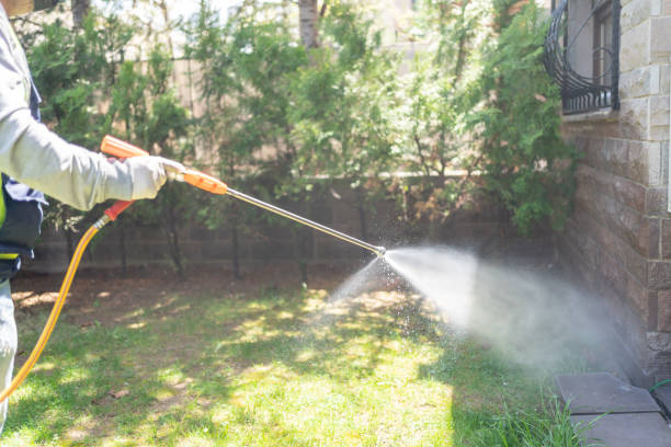 Best Spider Control Near Me  in West Monroe, MI