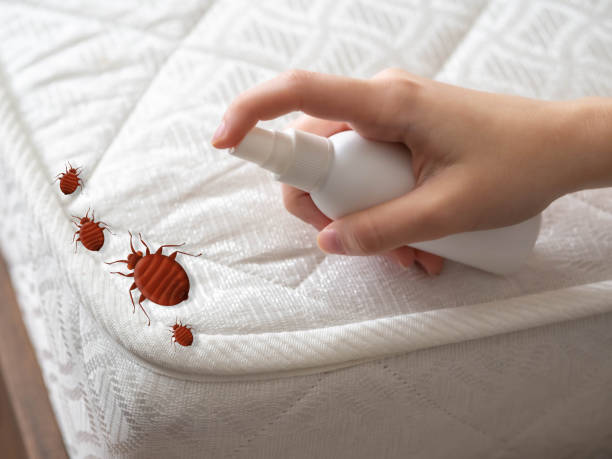 Best Best Pest Control Companies  in West Monroe, MI