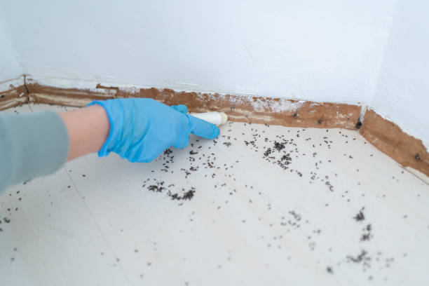 Best Best Pest Control Companies  in West Monroe, MI